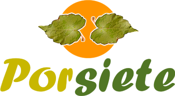 Logotipo Porsiete